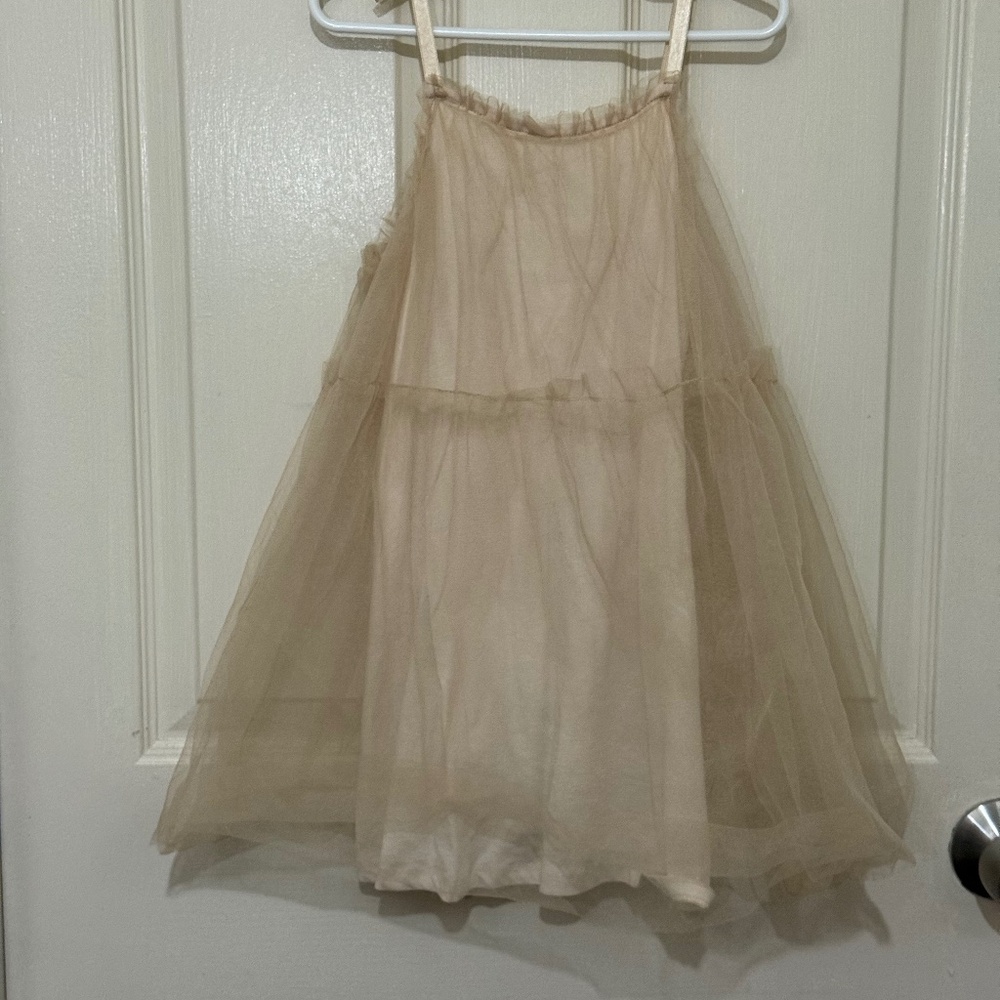 Zara Tulle Dress